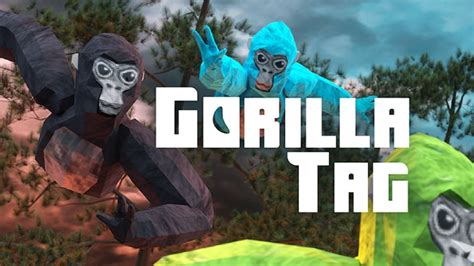 who is the best gorilla tag player